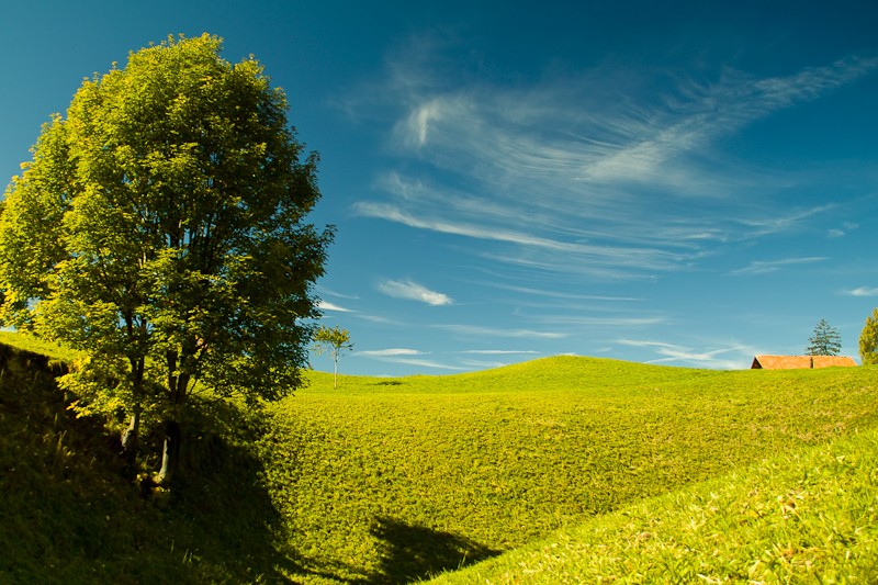 Viewing Album Masescha